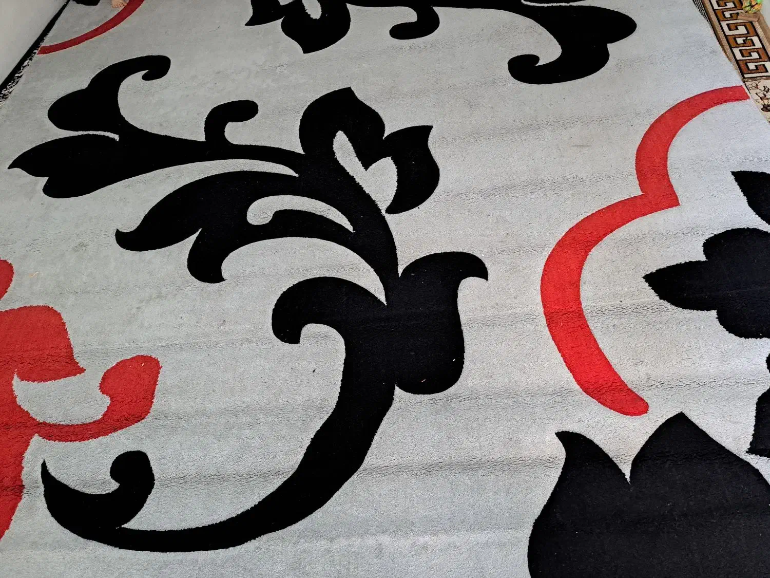 فرش|فرش|بندرعباس, |دیوار