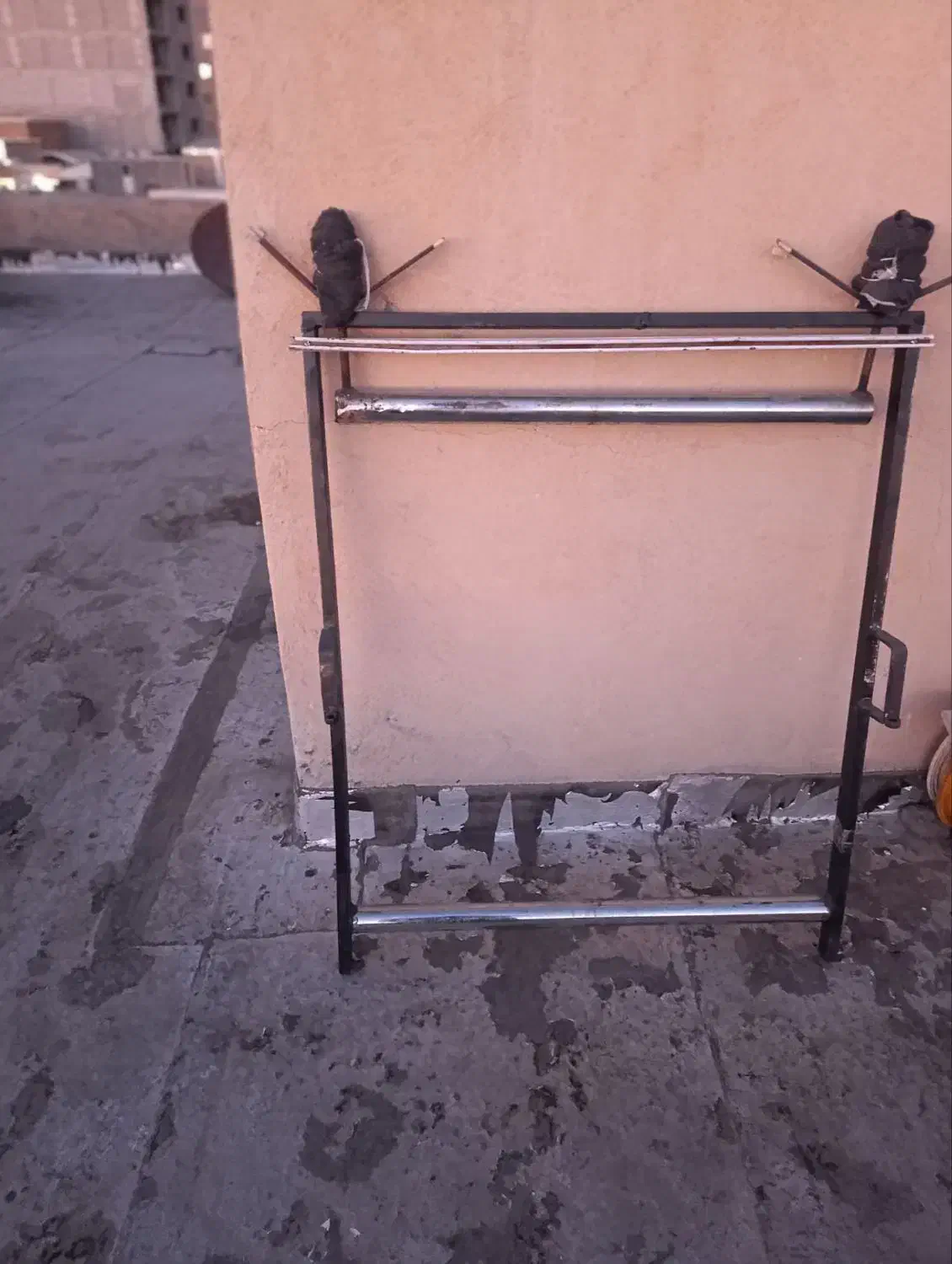 دار قالی. پشتی|لوازم خیاطی و بافتنی|ملایر, |دیوار