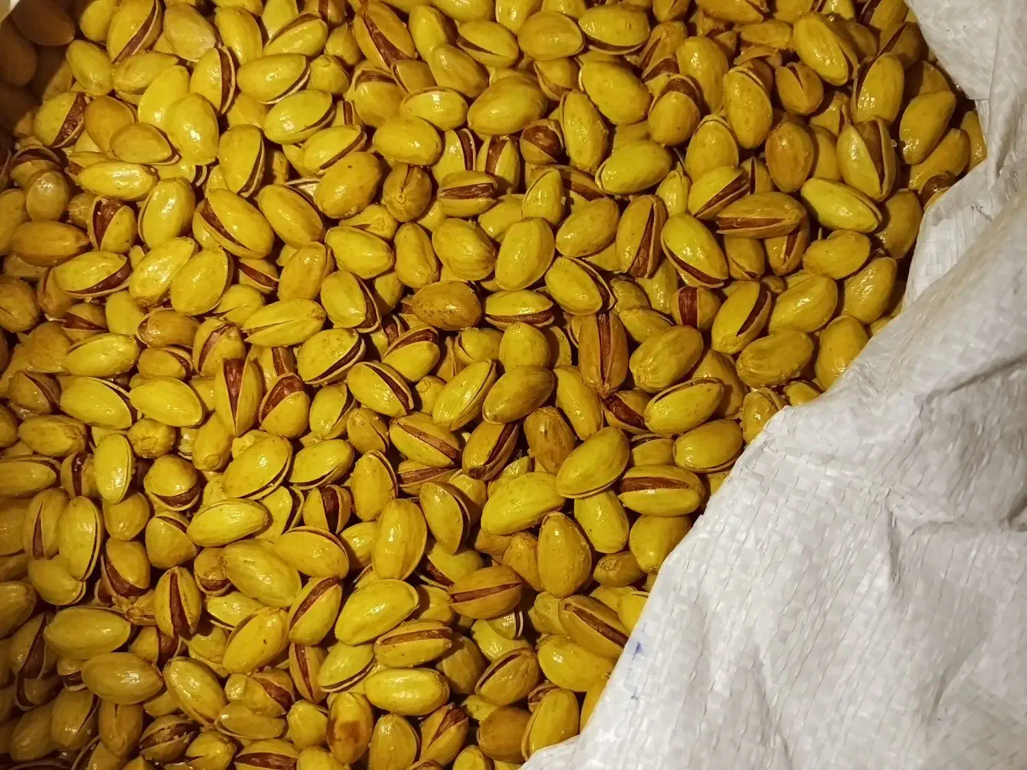 پسته احمد آقایی و کله قوچی درجه یک زیر قیمت بازار|خوردنی و آشامیدنی|قم, نخودی|دیوار