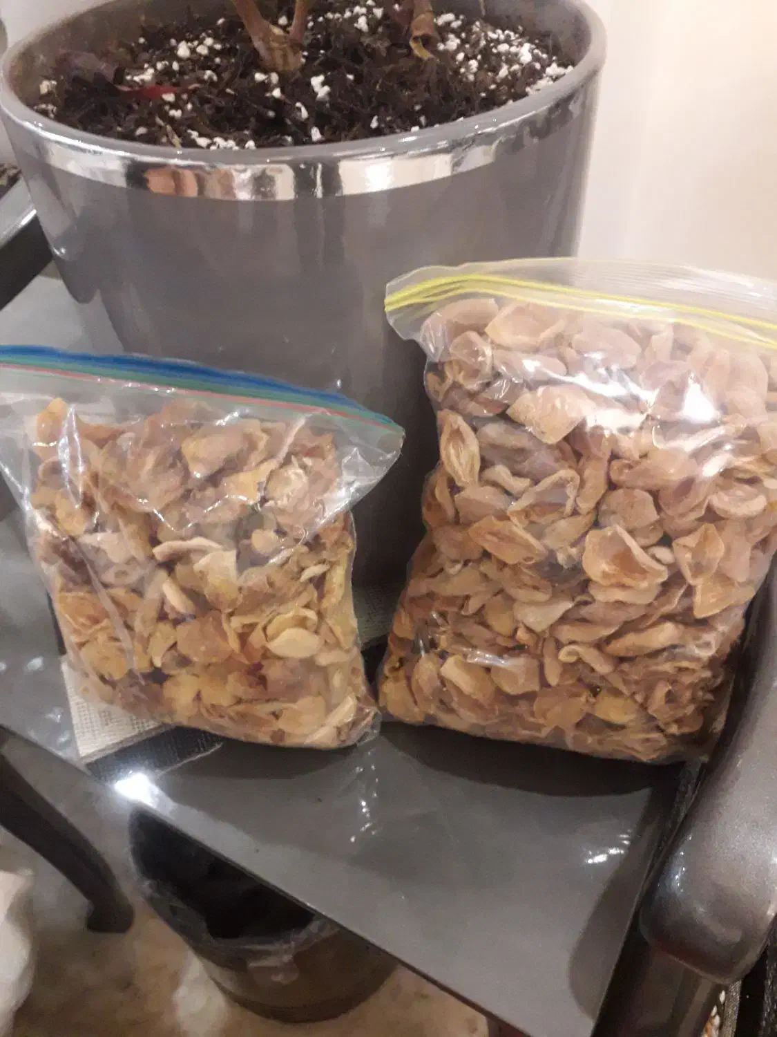 برگه زردآلوارگانیک آفتاب خشک|خوردنی و آشامیدنی|تهران, شهرک آزادی|دیوار