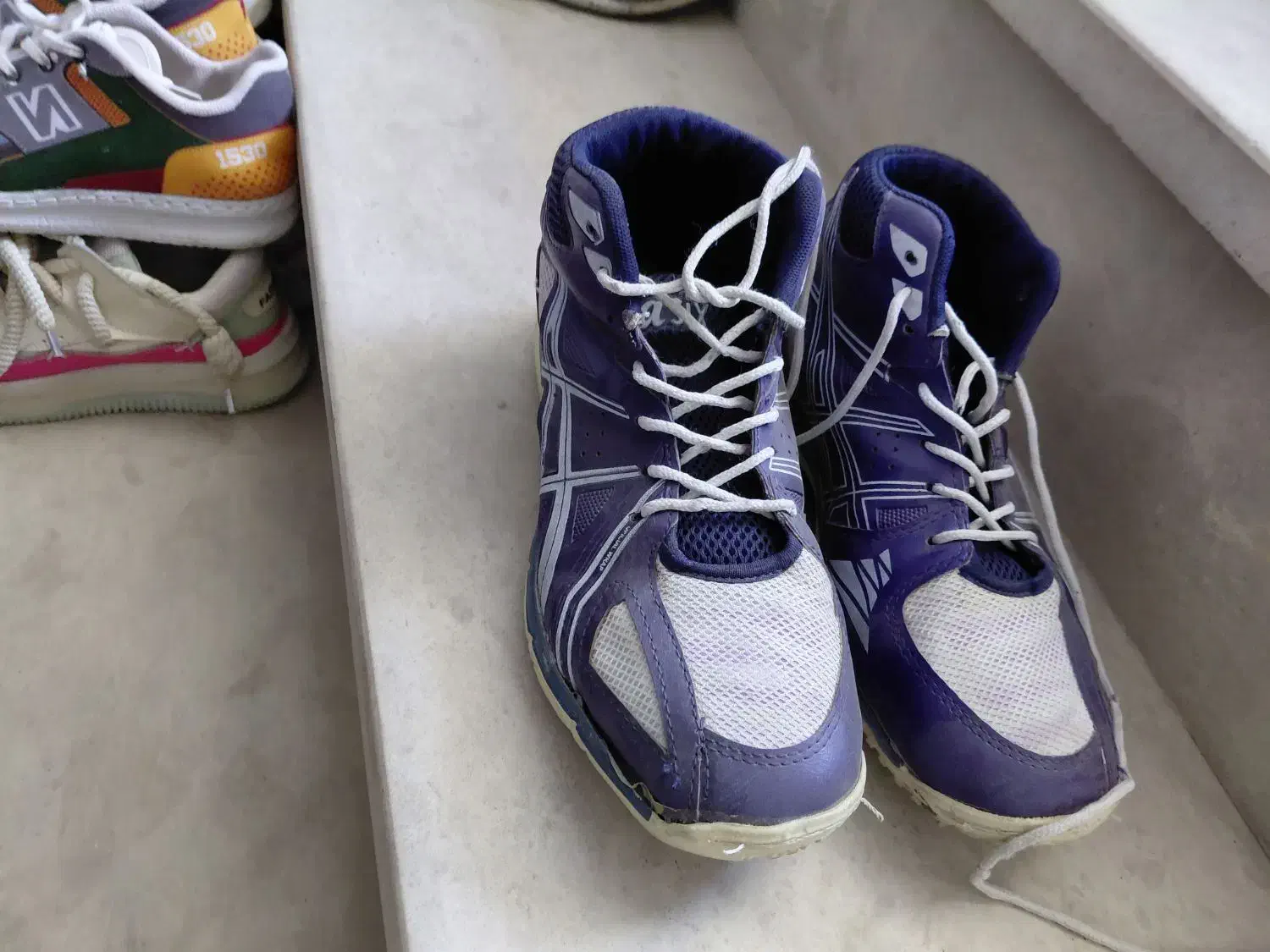 کفش والیبال ورزشی|کیف، کفش، کمربند|بم, |دیوار