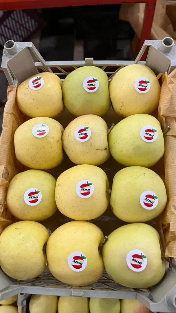 تامین میوه وصیفی جات|خدمات پذیرایی، مراسم|تهران, میدان میوه و ترهبار مرکزی|دیوار