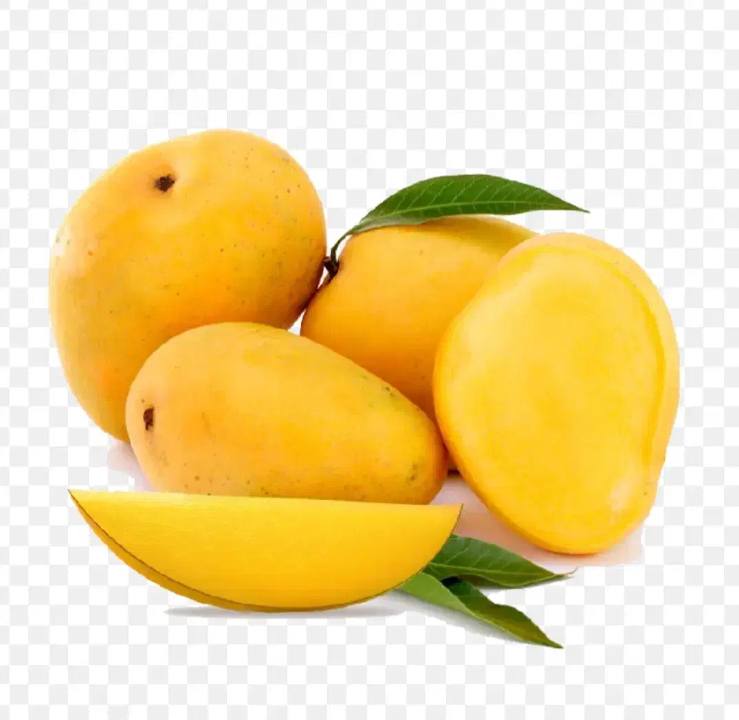 انبه منجمد|خوردنی و آشامیدنی|کرج, ساسانی (قلمستان)|دیوار