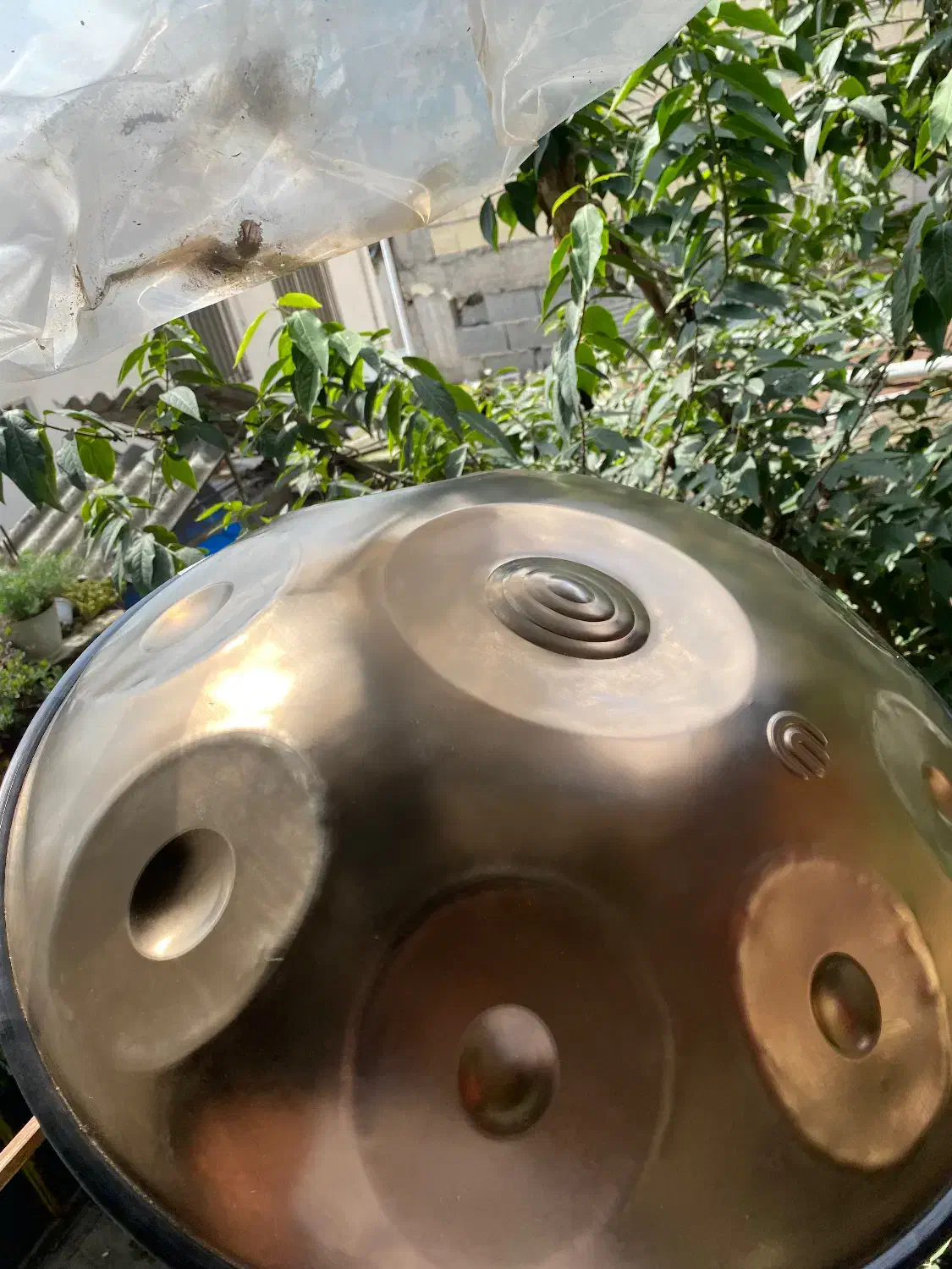 هنگدرام آرشا|درام و پرکاشن|رشت, نظری|دیوار