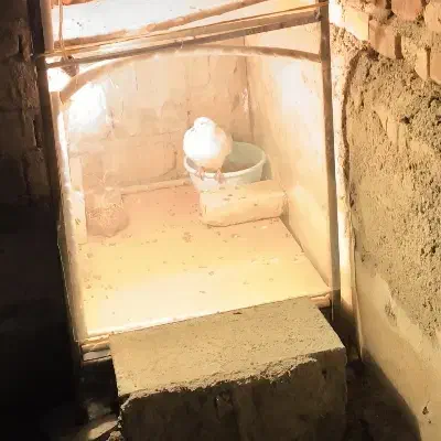 دیروز گم شده|پرنده|مشگین شهر, |دیوار