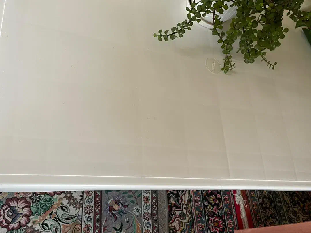 میز پلاستیکی|میز و صندلی غذاخوری|رشت, کوی مهر|دیوار