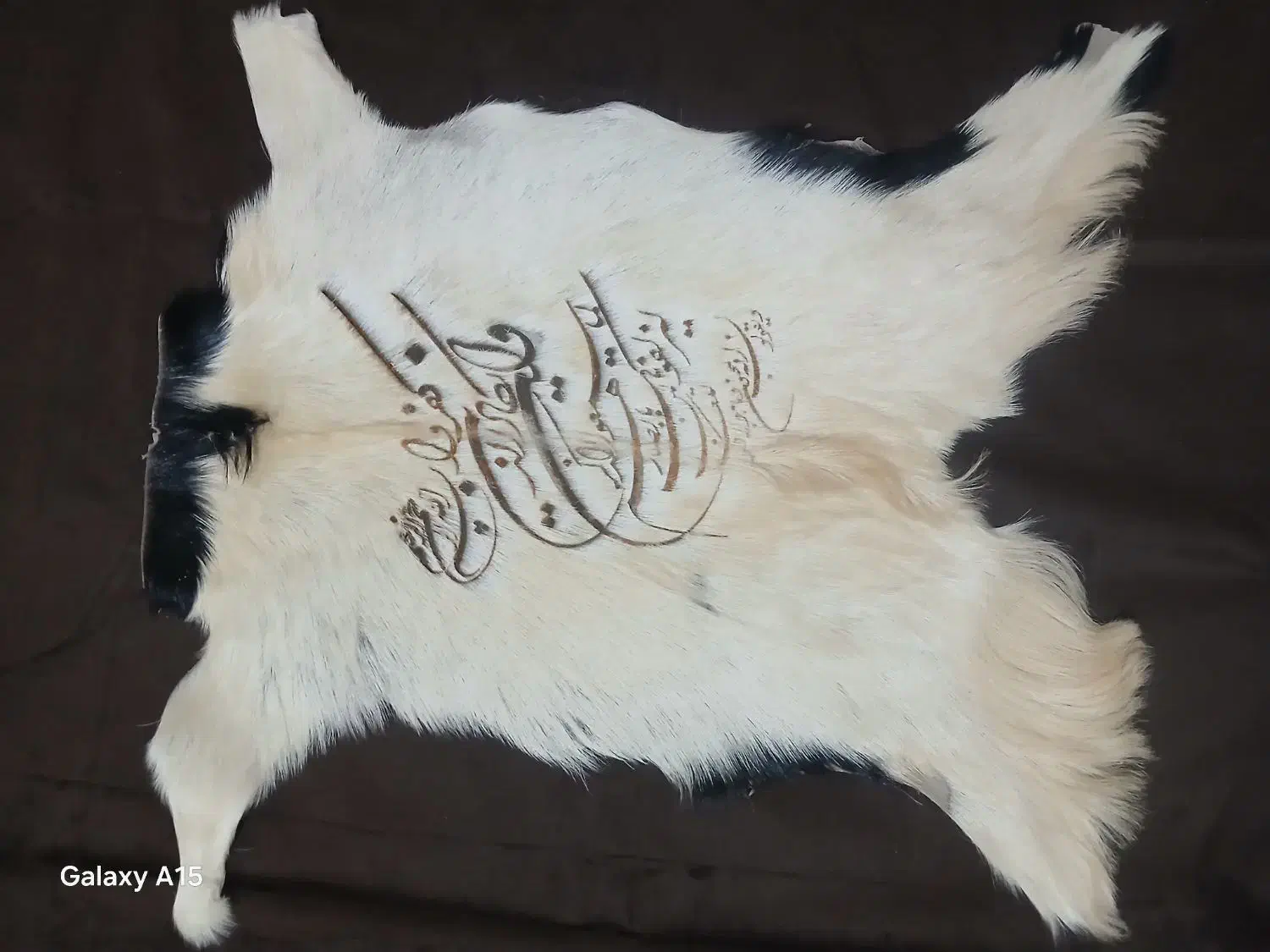 پوست بز|کلکسیون و سرگرمی|قم, پامنار|دیوار