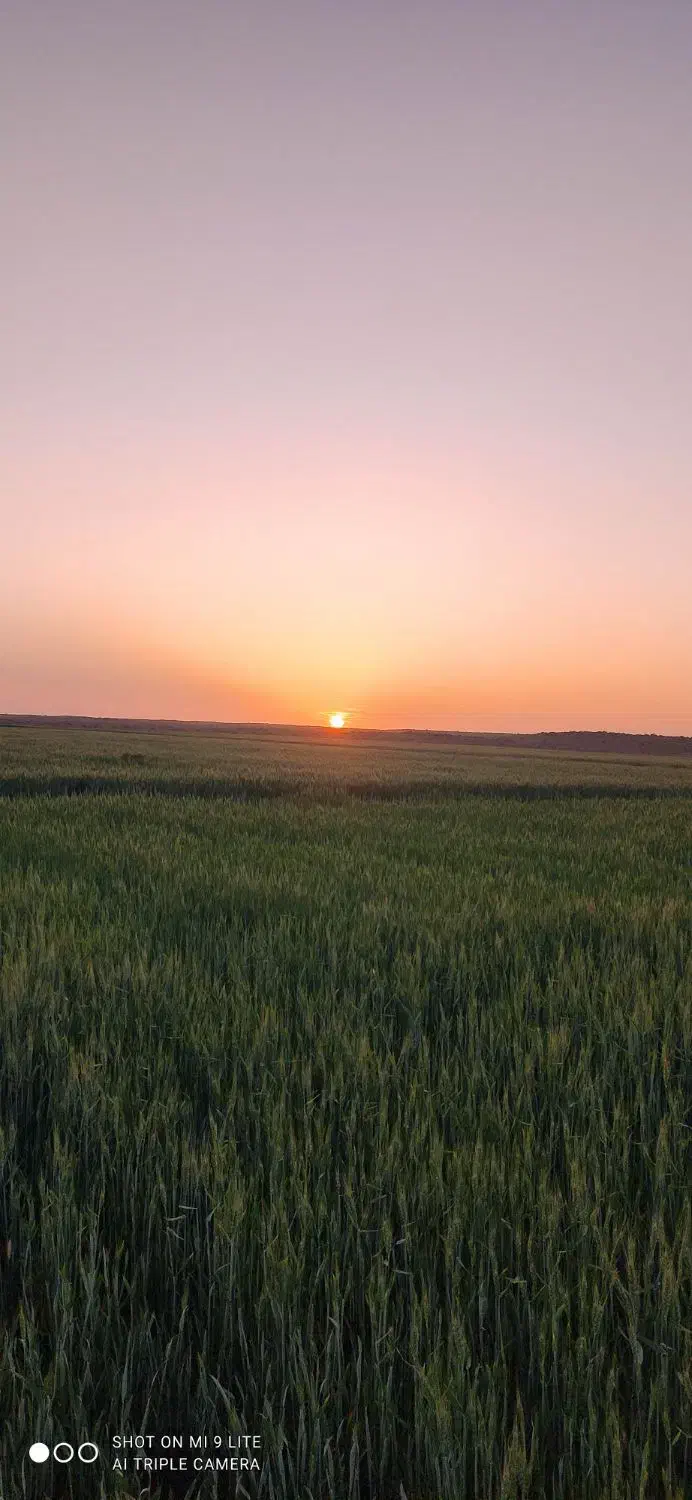 زوج جهت کار در مهمانپذیر|استخدام سرایداری و نظافت|مشهد, نوغان|دیوار