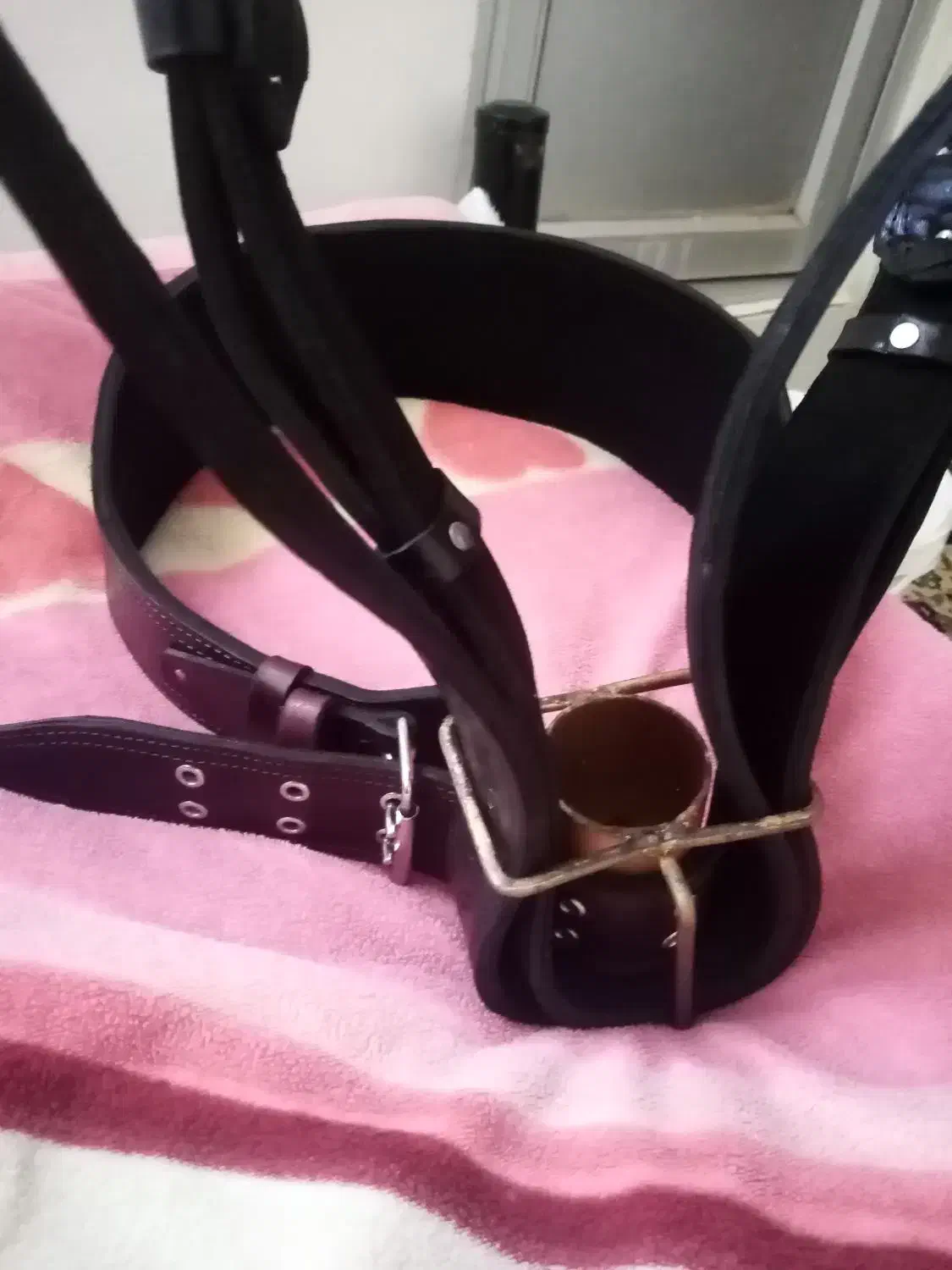 پر، علامت|سیستم صوتی خانگی|گیلان غرب, |دیوار