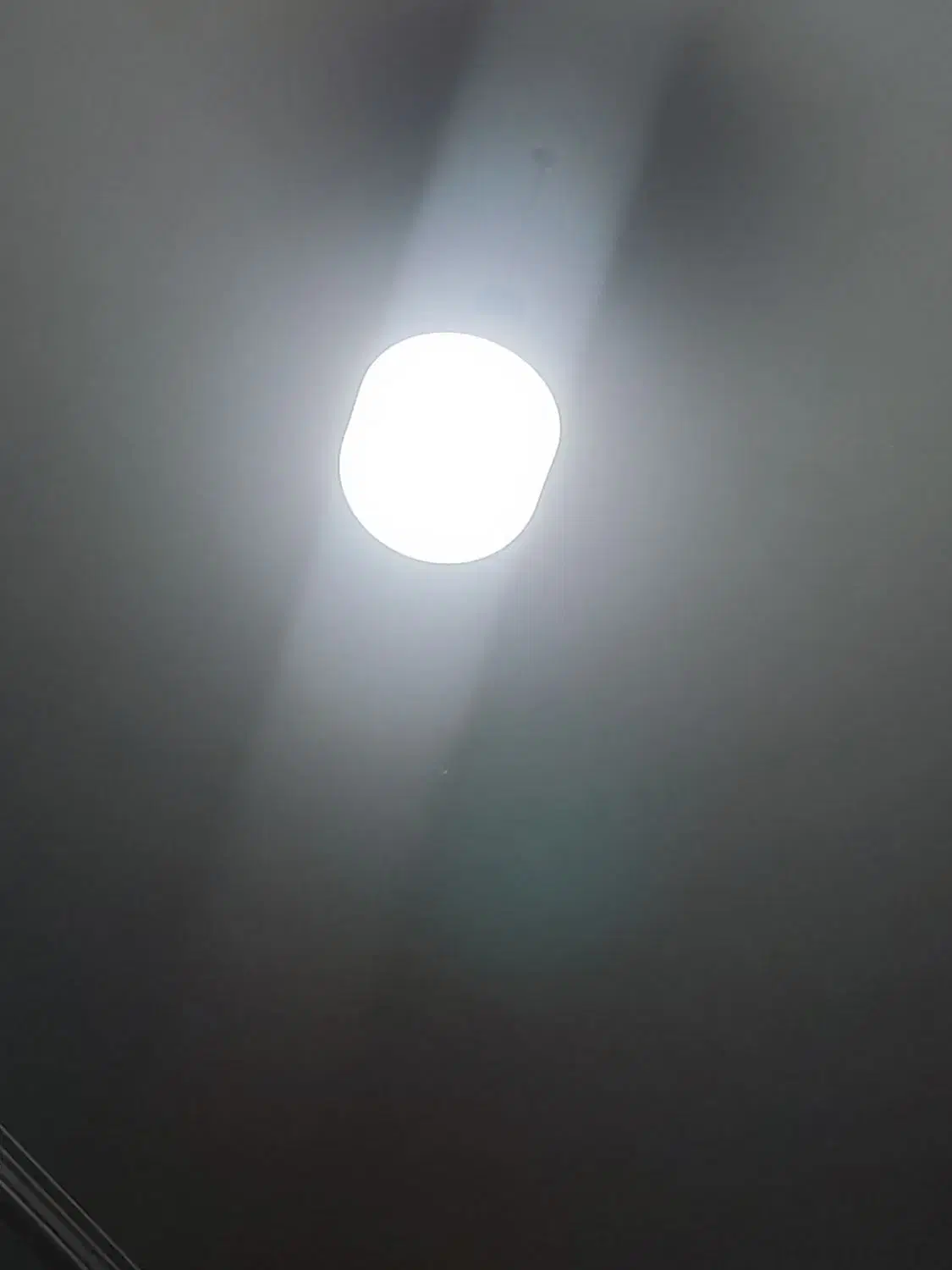 تعدادی لامپ|لامپ و چراغ|یزد, |دیوار