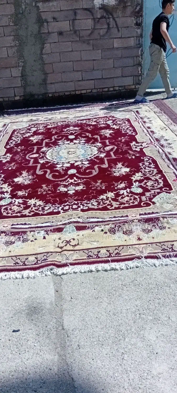 فرش|فرش|سقز, |دیوار