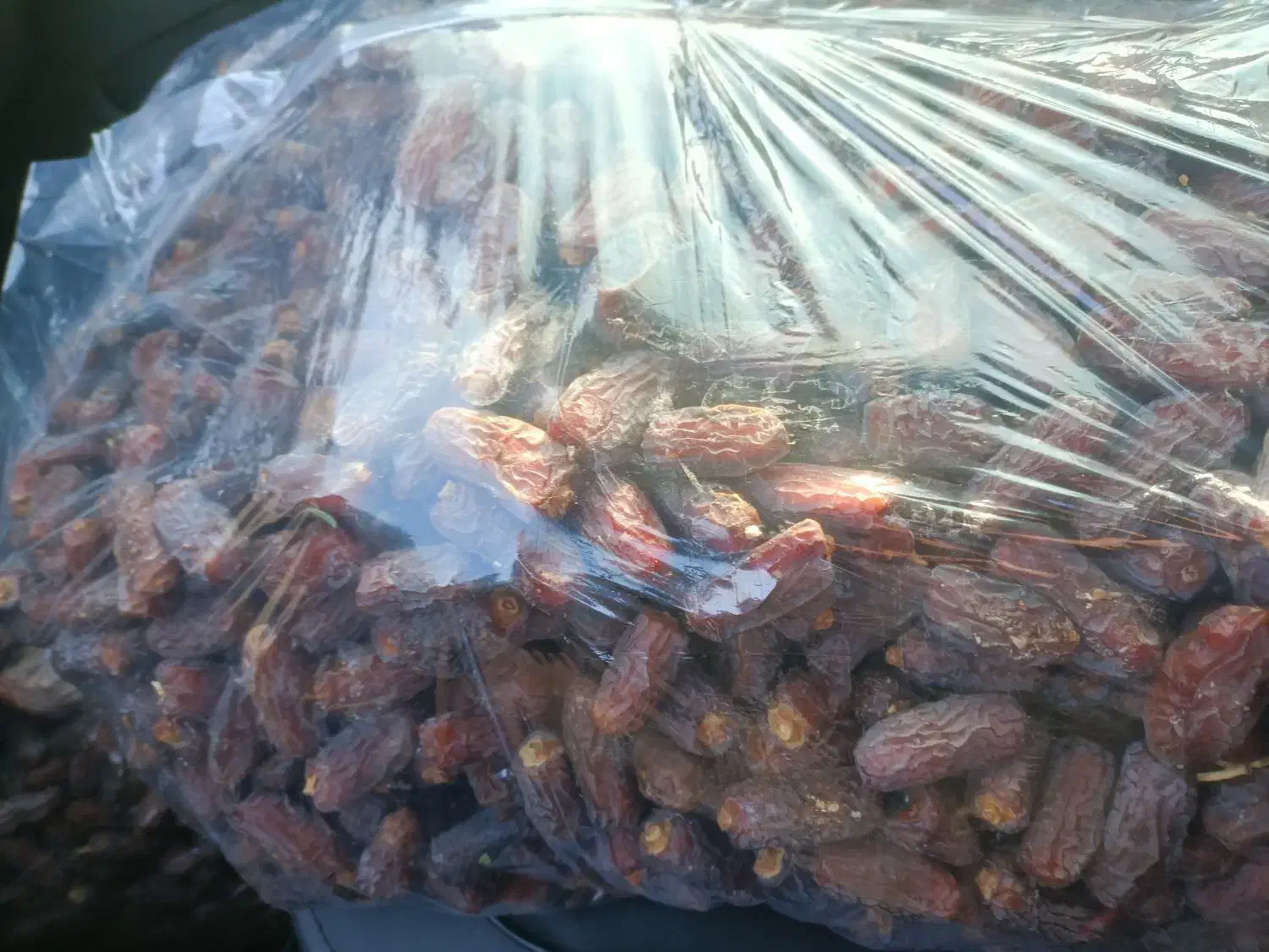 خرمای پیارم|خوردنی و آشامیدنی|جهرم, |دیوار