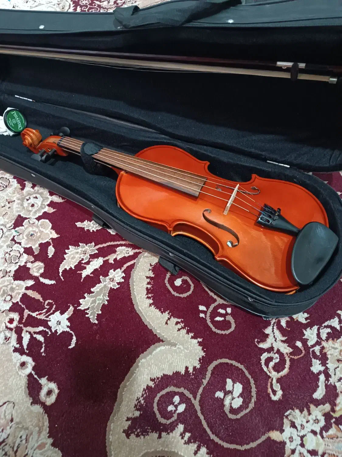 ویلون|ویولن|مشهد, شهید قربانی|دیوار