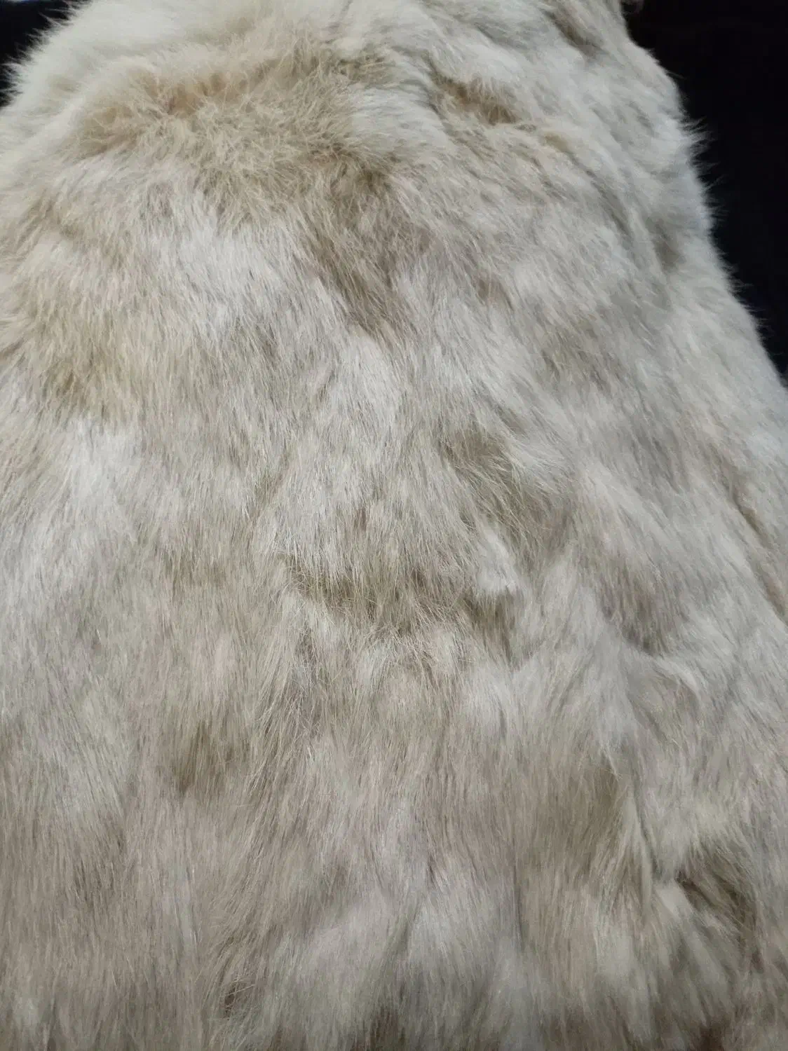 پالتو پوست|لباس|تهران, هاشمی|دیوار