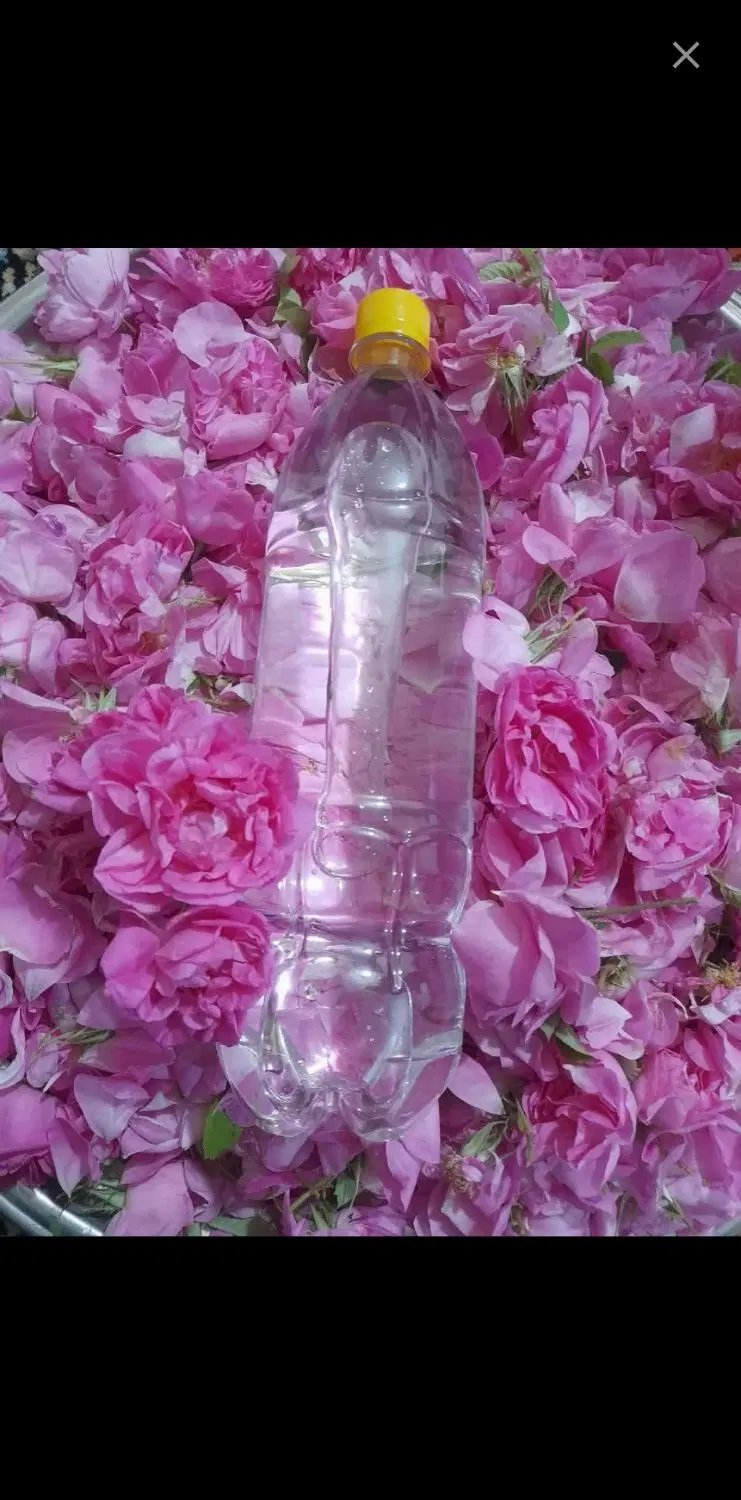 گلاب طبیعی|خوردنی و آشامیدنی|کرمانشاه, |دیوار