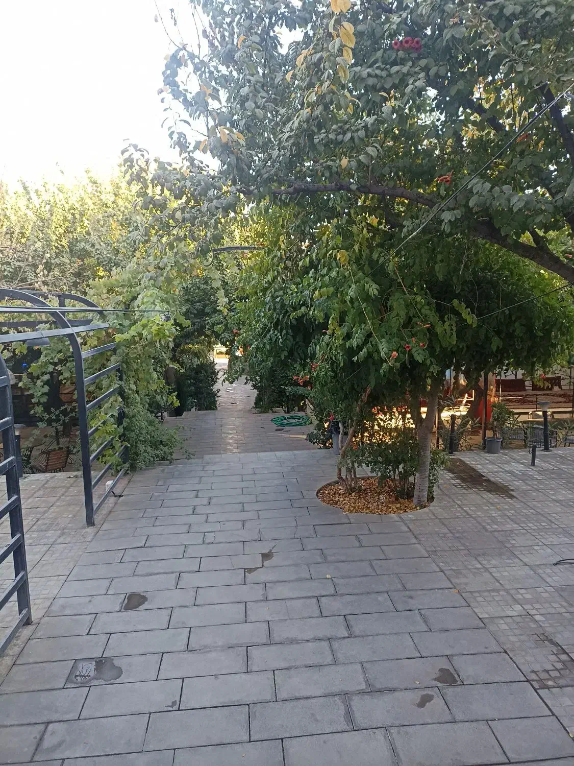 یک نفراشپز یک شیفت یادوشیفت حقوق مناسب بابیمه|استخدام خدمات فروشگاه و رستوران|طرقبه, |دیوار