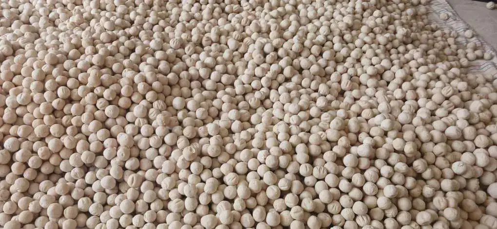 فروش کشک محلی|خوردنی و آشامیدنی|شیراز, کلاهدوز|دیوار