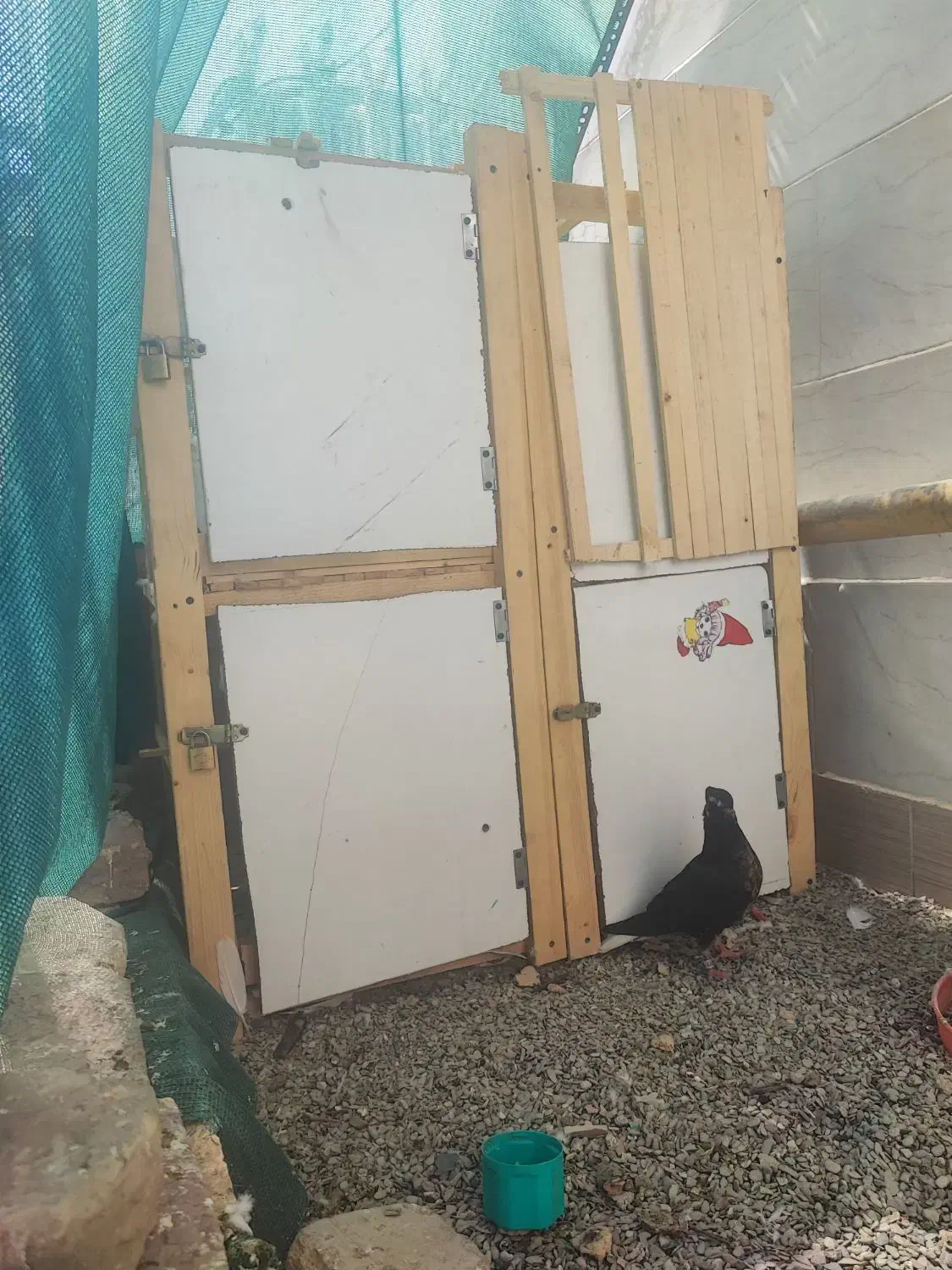 قفس چهار خوان با (تمامی وسایل)|لوازم جانبی حیوانات|سراوان, |دیوار