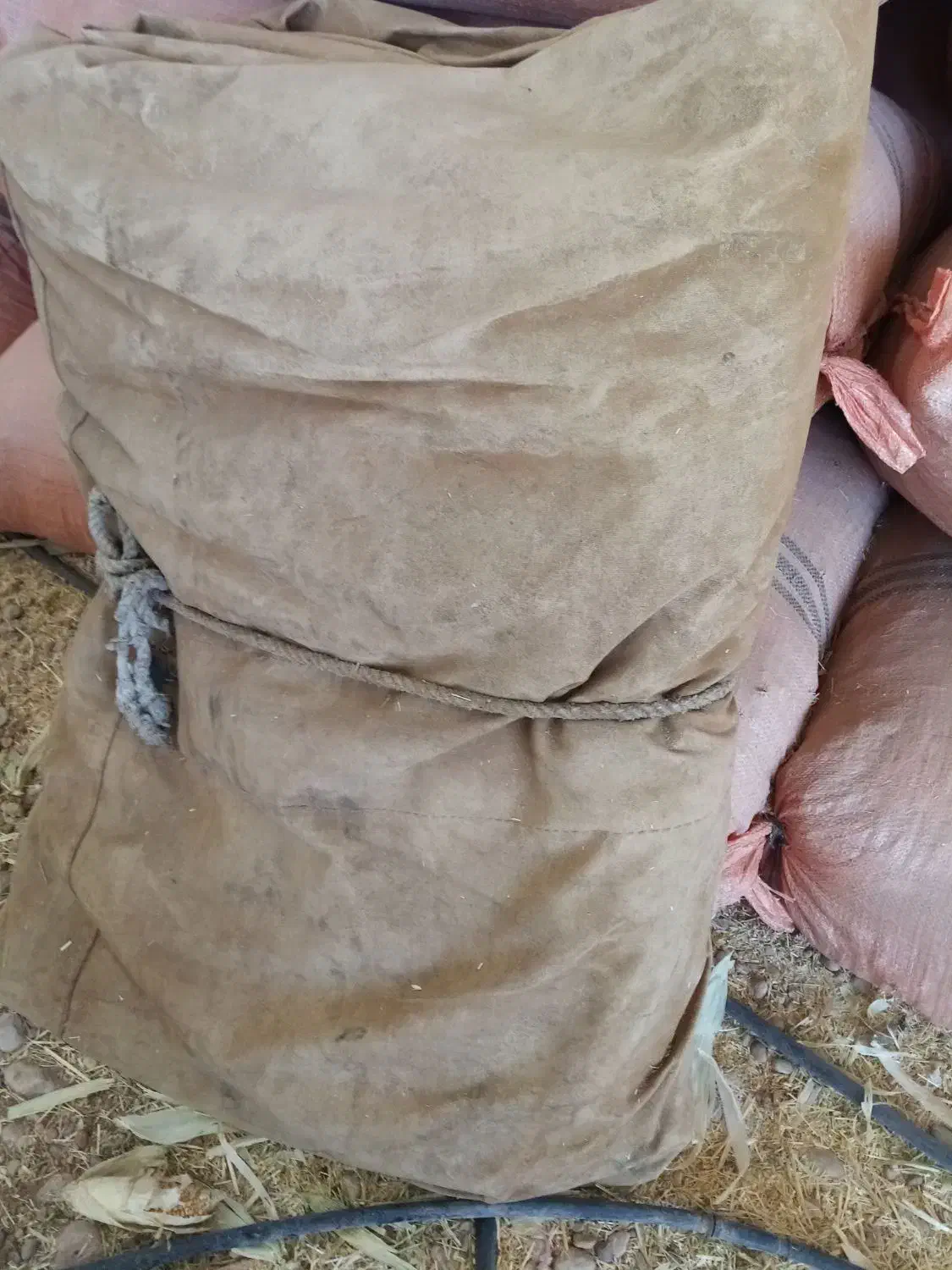 خیمه|کوهنوردی و کمپینگ|داراب, |دیوار