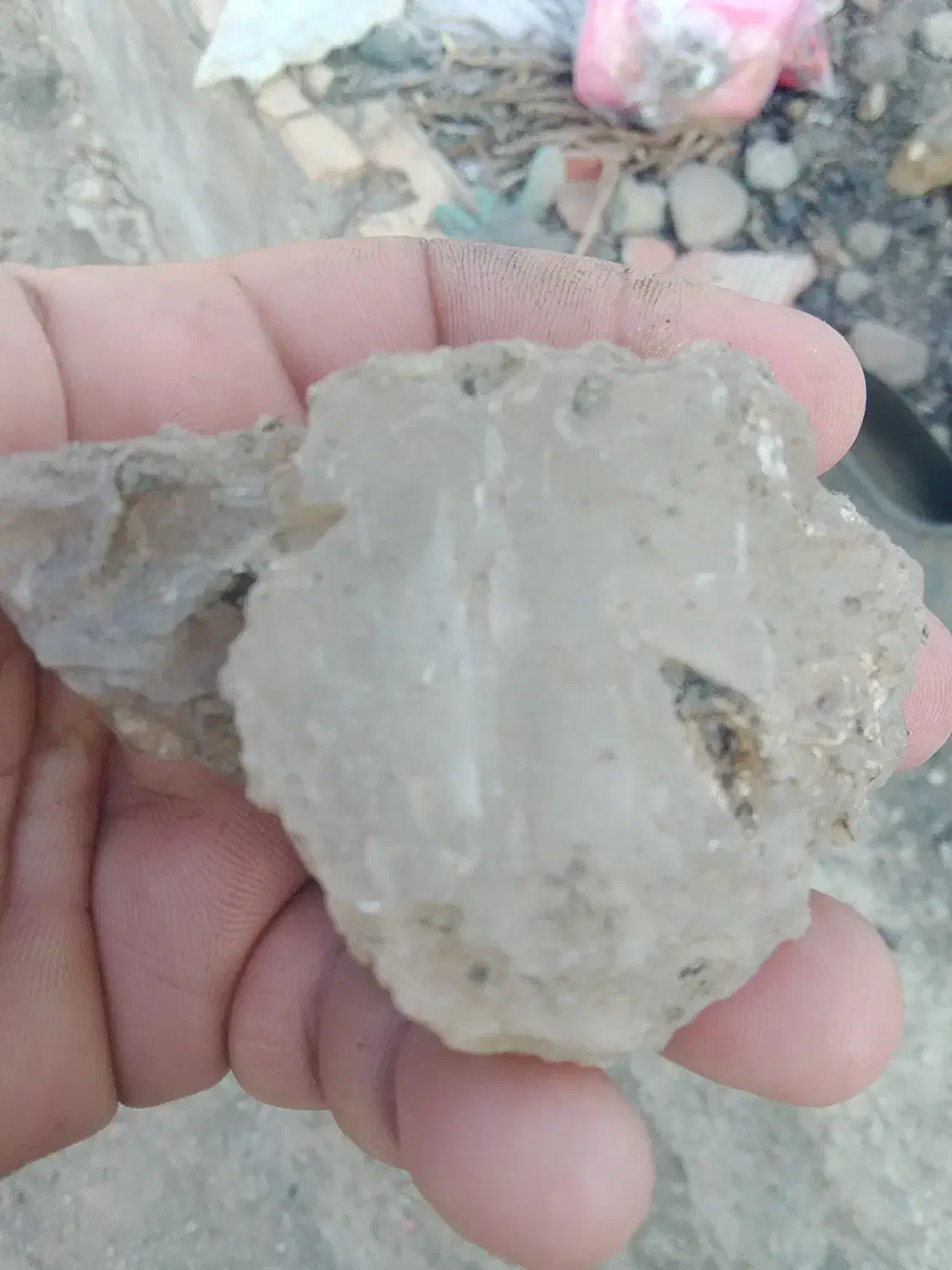 سنگ عقیق برای انگشتر|جواهرات|ویلکیج, |دیوار