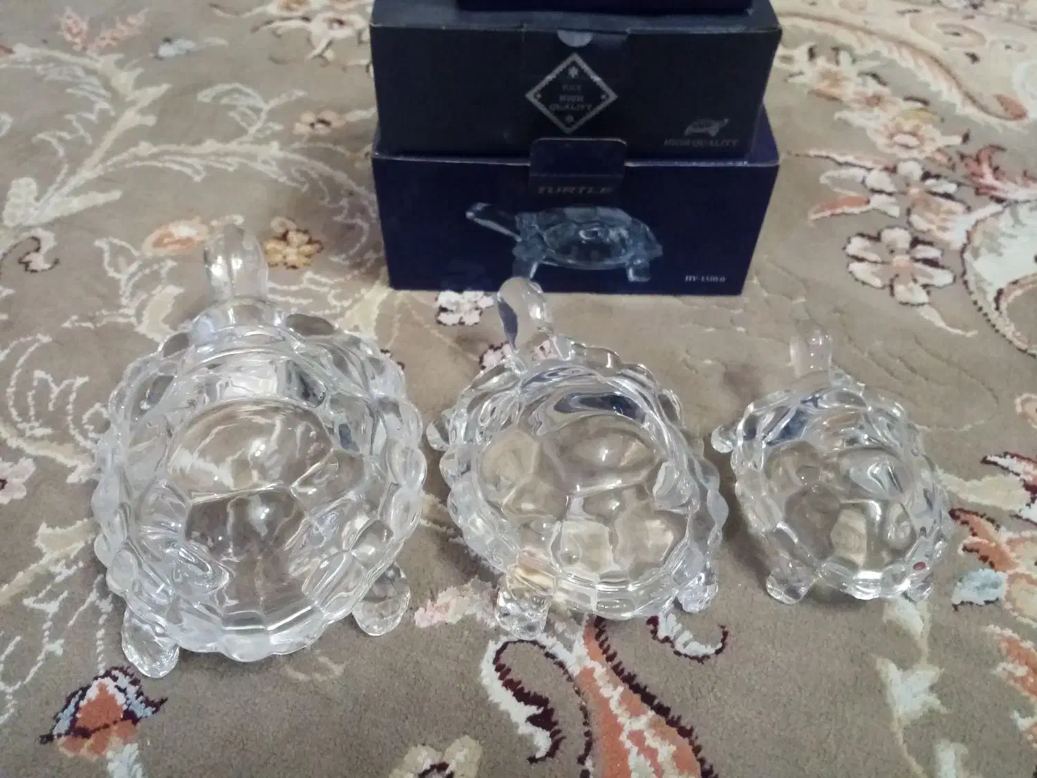 تندیس لاک پشت نو|مجسمه، تندیس، ماکت|اردبیل, |دیوار