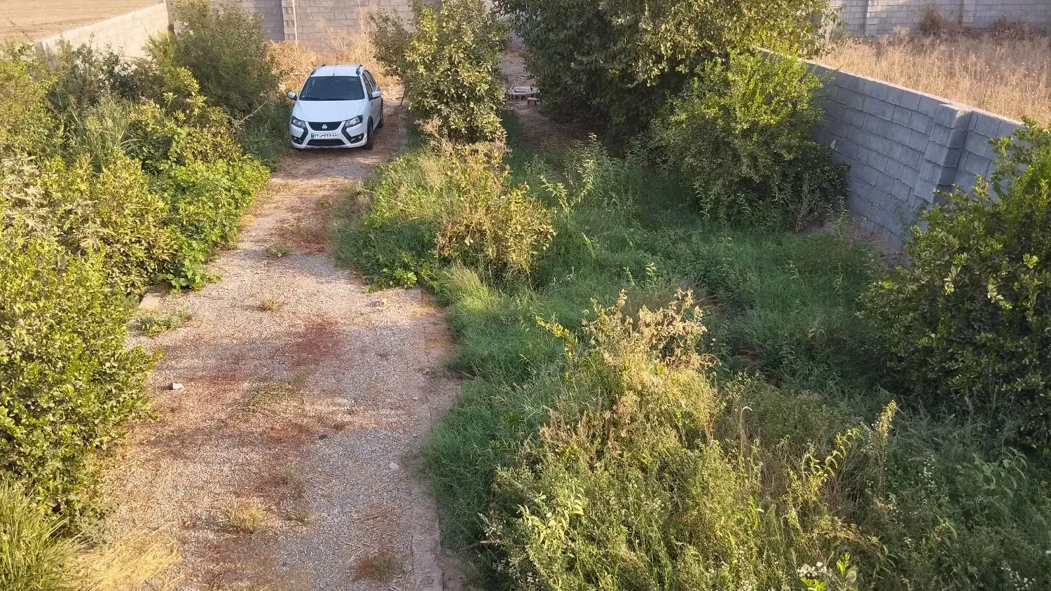 باغچه|فروش دفتر صنعتی، کشاورزی، تجاری|اهواز, کوی ملی راه|دیوار