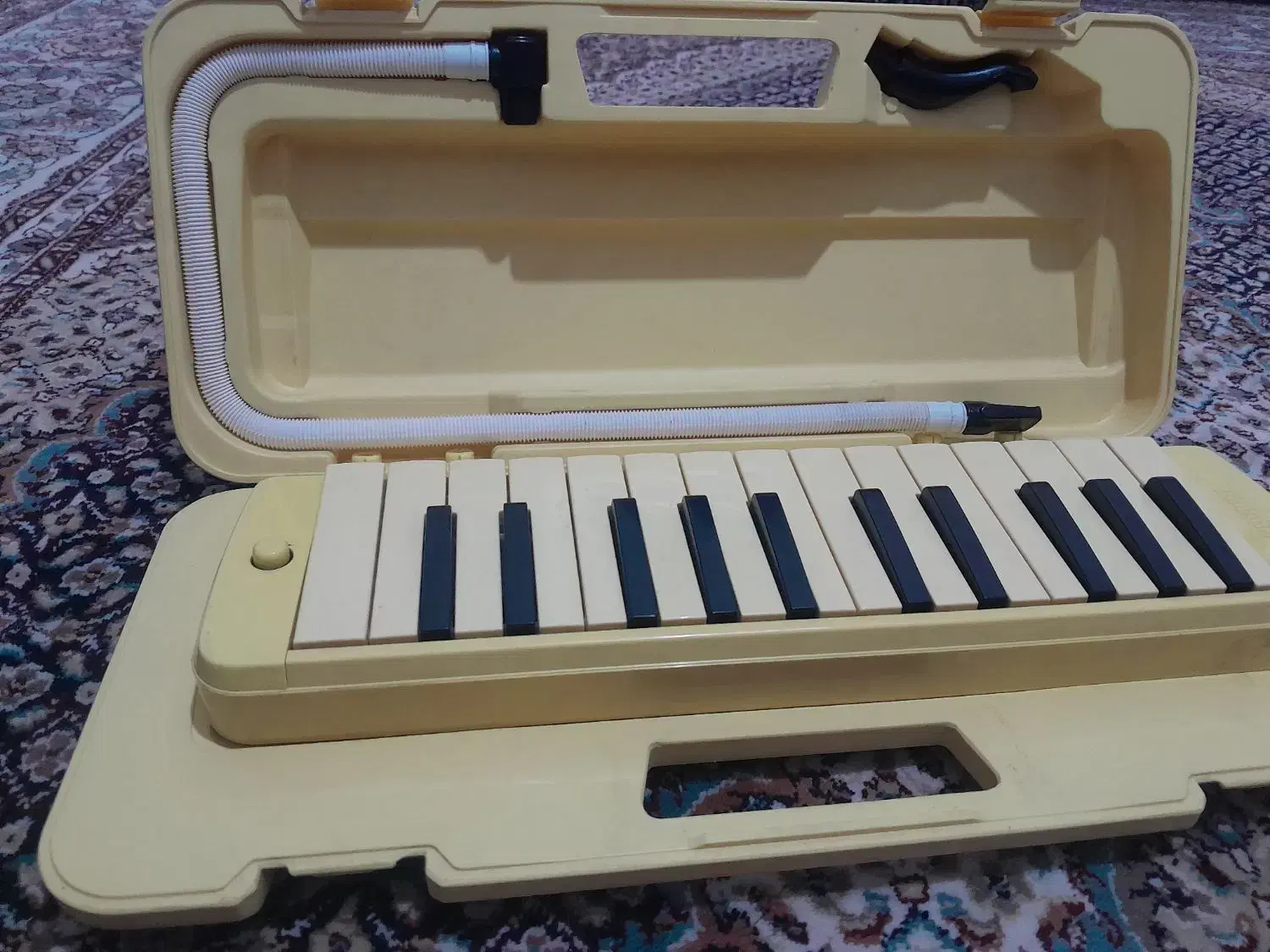 پیانو|پیانو، کیبورد، آکاردئون|سهند, |دیوار