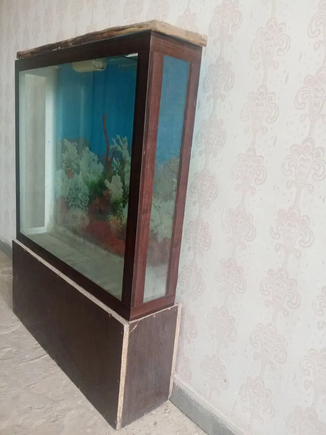 آکواریوم بزرگ|ماهی|قوچان, |دیوار