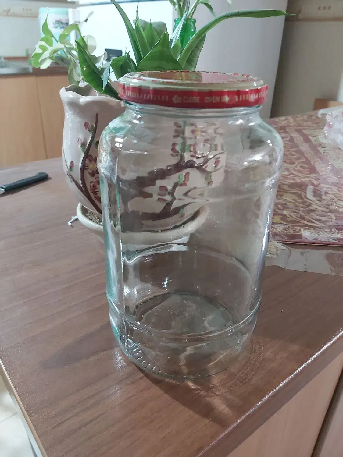 بطری شیشه ای|ظروف نگهدارنده، پلاستیکی، یک‌بارمصرف|قزوین, |دیوار