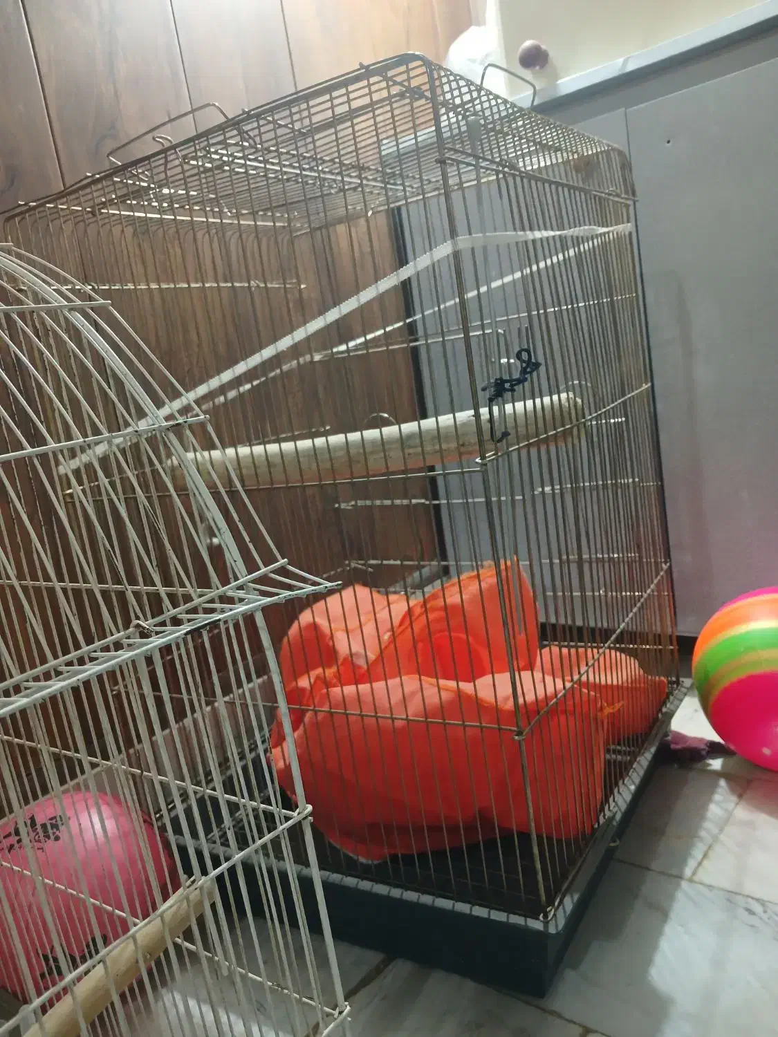 قفس پرنده عروس هلندی|لوازم جانبی حیوانات|کرمانشاه, |دیوار