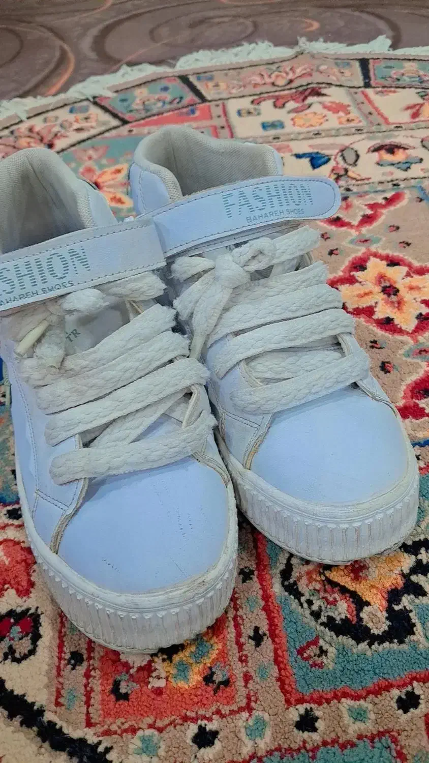 کفش|کیف، کفش، کمربند|اندیمشک, |دیوار