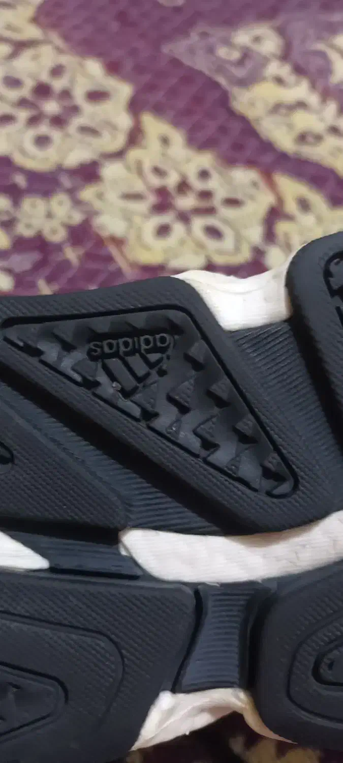 کفش پسرانه  سایز ۳۹  خارجی  نو نو|کیف، کفش، کمربند|تبریز, |دیوار