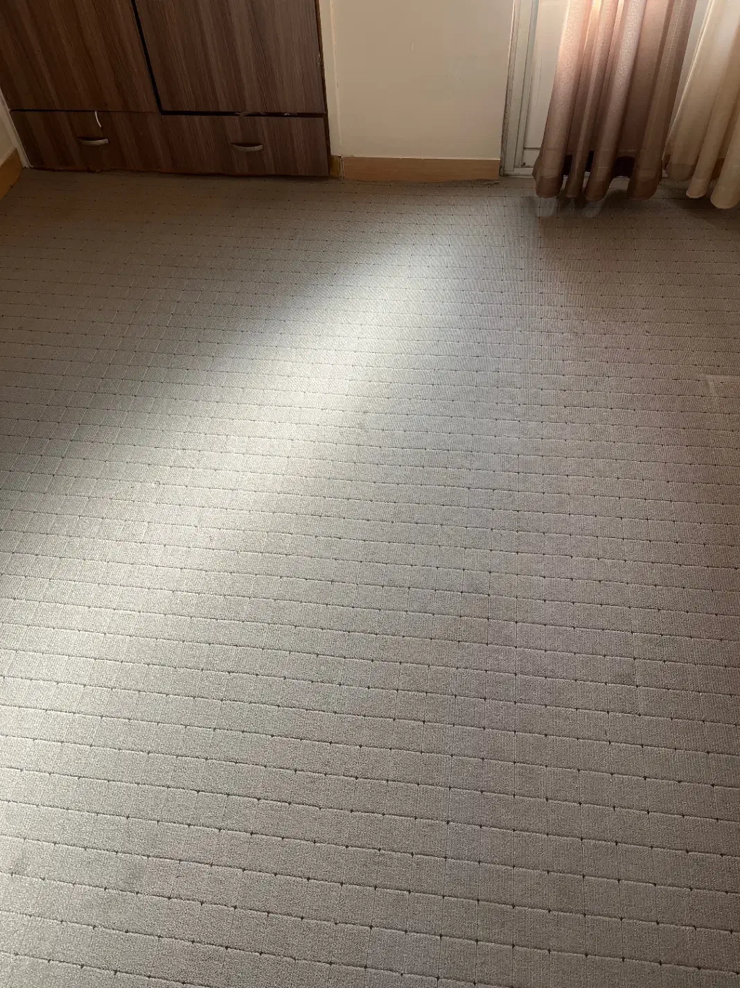 پالاز موکت|موکت|کوچصفهان, |دیوار