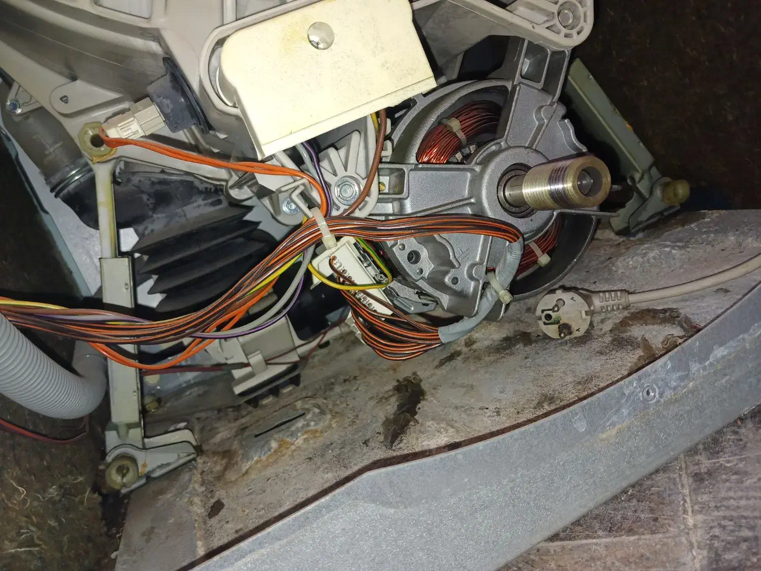 خرید انواع لباسشویی و ظرفشویی|خدمات پیشه و مهارت|یزد, |دیوار