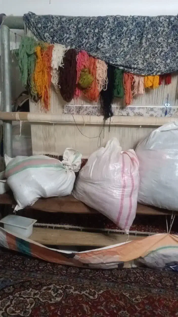 رنگ‌ قالی ۹متری|فرش|کاشان, امیرکبیر|دیوار