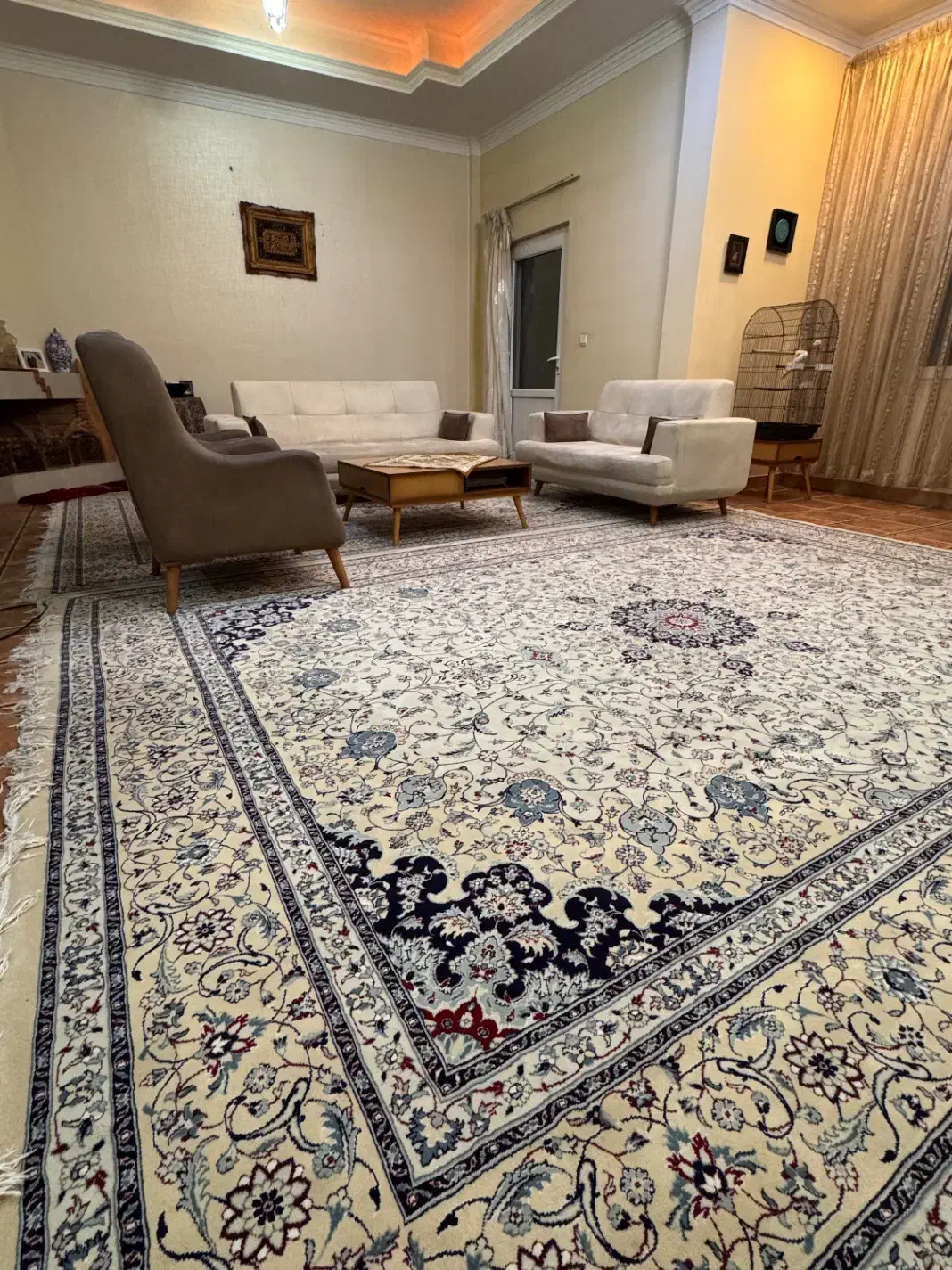 فرش مشهد ۱۲ متری بسیار تمیز|فرش|رشت, کاکتوس|دیوار