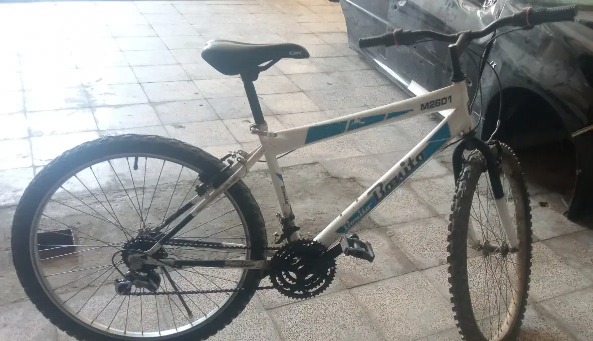 دوچرخه26|دوچرخه، اسکیت، اسکوتر|قدس, شهر‌قدس|دیوار