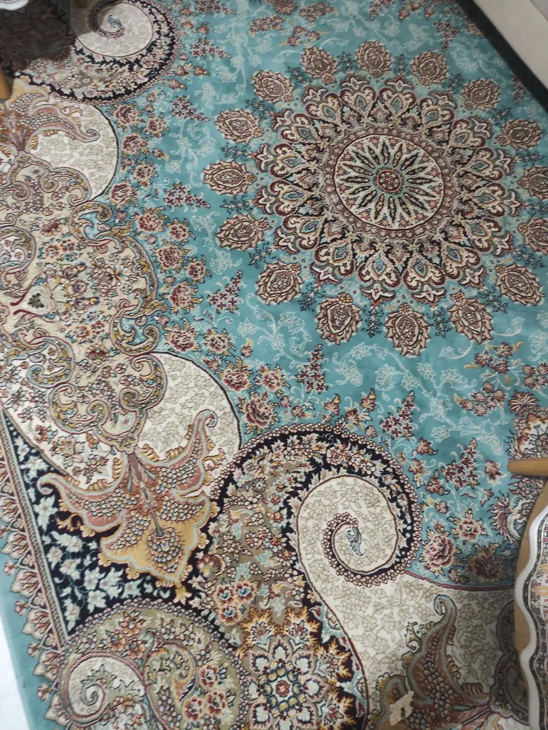 فرش ۹متری|فرش|بابلسر, |دیوار