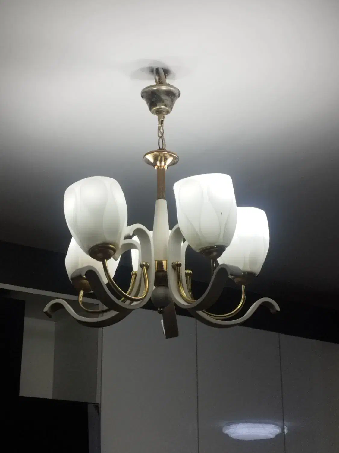 لوستر سفید طلایی پنج شاخه|لوستر و چراغ آویز|اهواز, زیتون کارمندی|دیوار