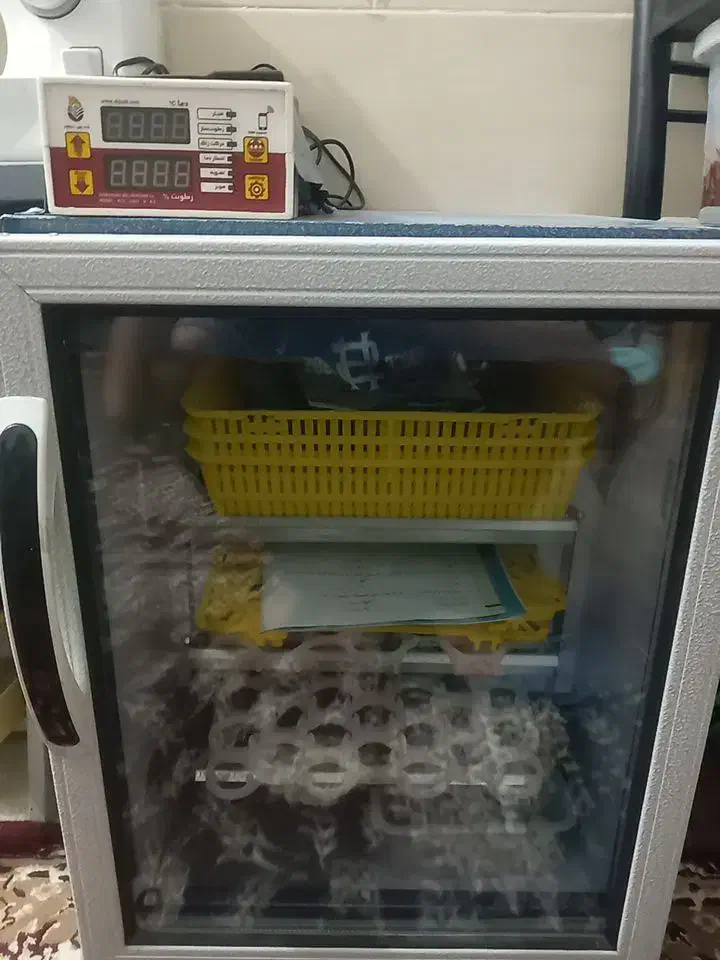 دستگاه جوجه کشی  بلدر چین دماوند|ماشین‌آلات صنعتی|نرماشیر, |دیوار