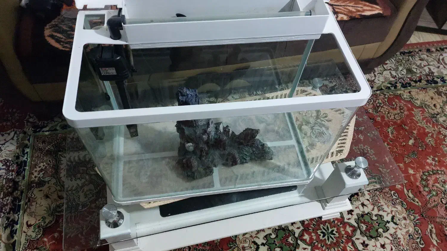 اکواریم|ماهی|ارومیه, |دیوار