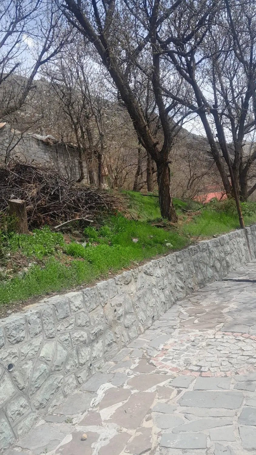 فروش باغ و باغچه در روستای امن|فروش زمین و ملک کلنگی|کن, |دیوار