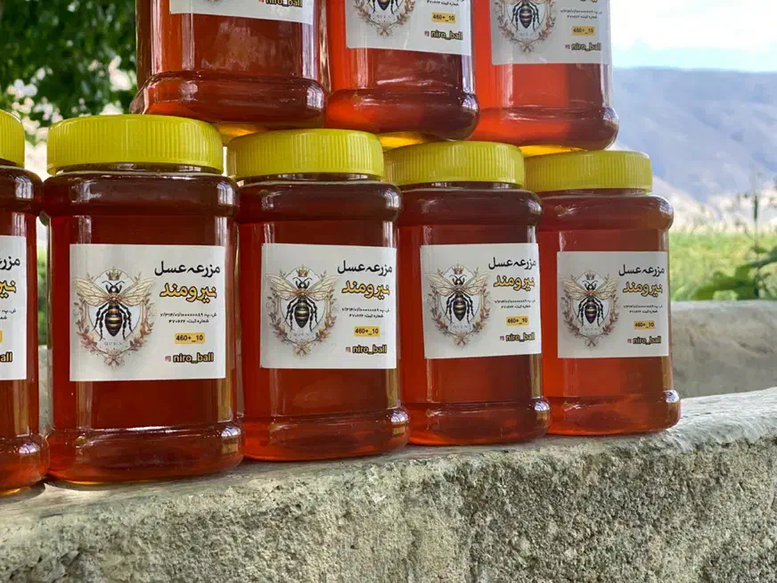 عسل زعفرانی|خوردنی و آشامیدنی|شیراز, فرگاز|دیوار