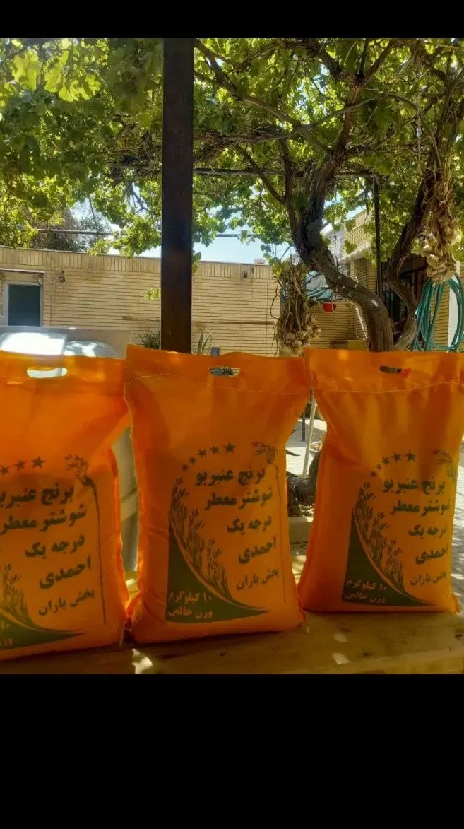 برنج عنبربو شوشتر اصلی یاران|خوردنی و آشامیدنی|اصفهان, کوی نرگس|دیوار