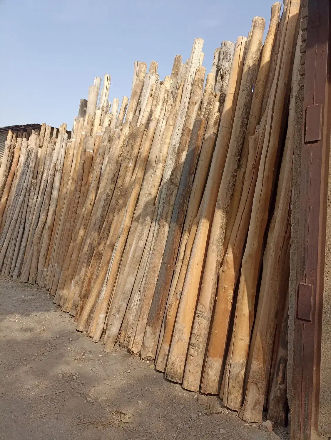 چوب|خدمات باغبانی و درختکاری|خرمآباد, |دیوار