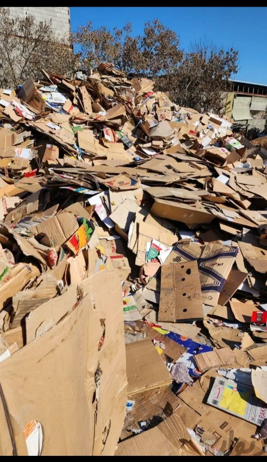 ضایعات کارتن کتاب دفتر|عمدهفروشی|یزد, |دیوار