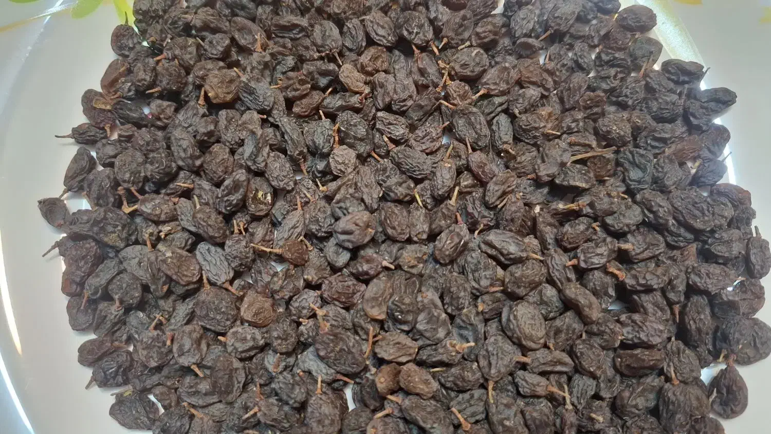 کشمش آفتابی تازه|خوردنی و آشامیدنی|مهاباد (آذربایجان غربی), |دیوار