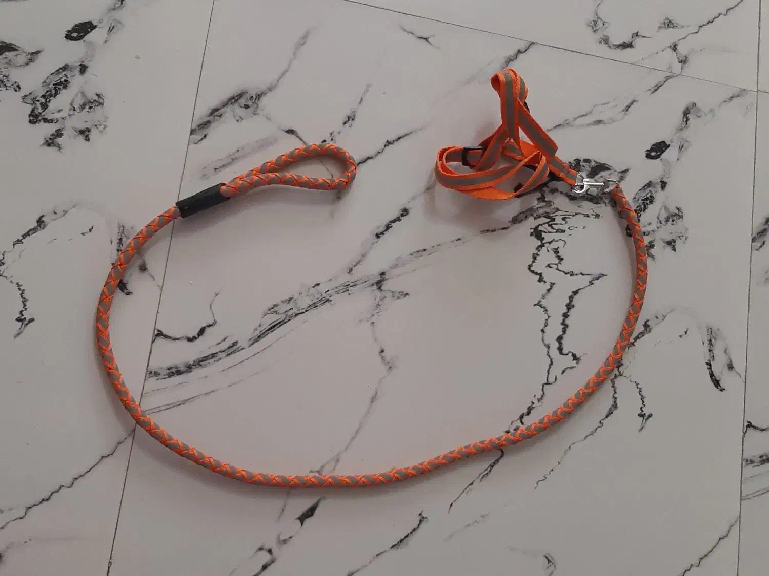 قلاده گربه .گربه.طبعیت گردی گربه|لوازم جانبی حیوانات|نسیمشهر, |دیوار