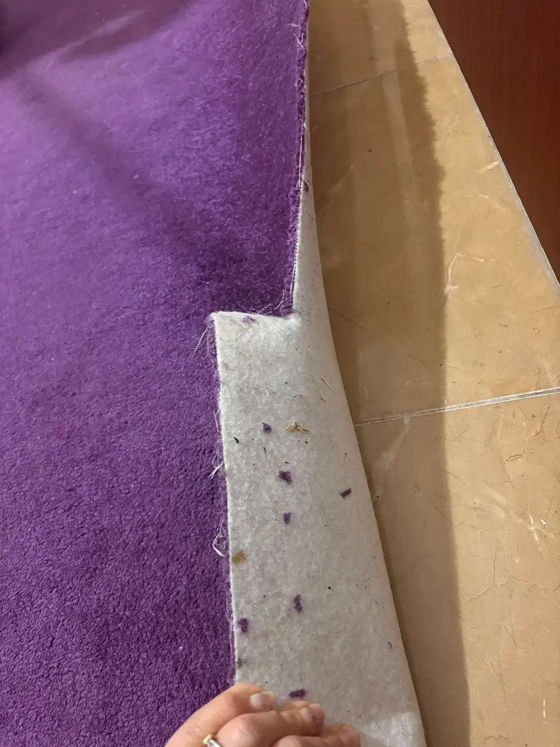 پالاز موکت|موکت|همدان, |دیوار