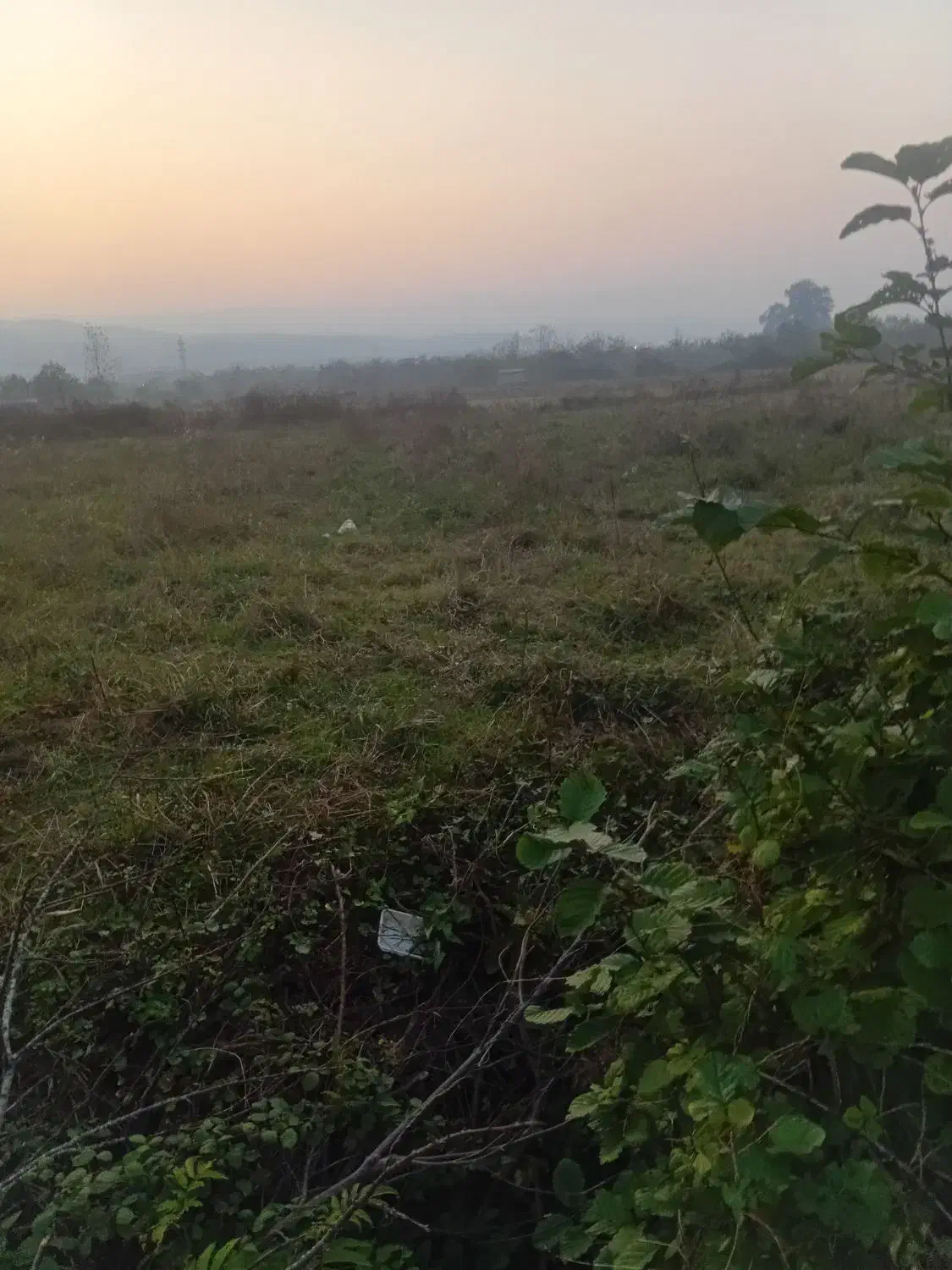 ۶۰۰ متر زمین شهری متری ۵ تومن سرمایه گذاری|فروش زمین و ملک کلنگی|رضوانشهر, |دیوار